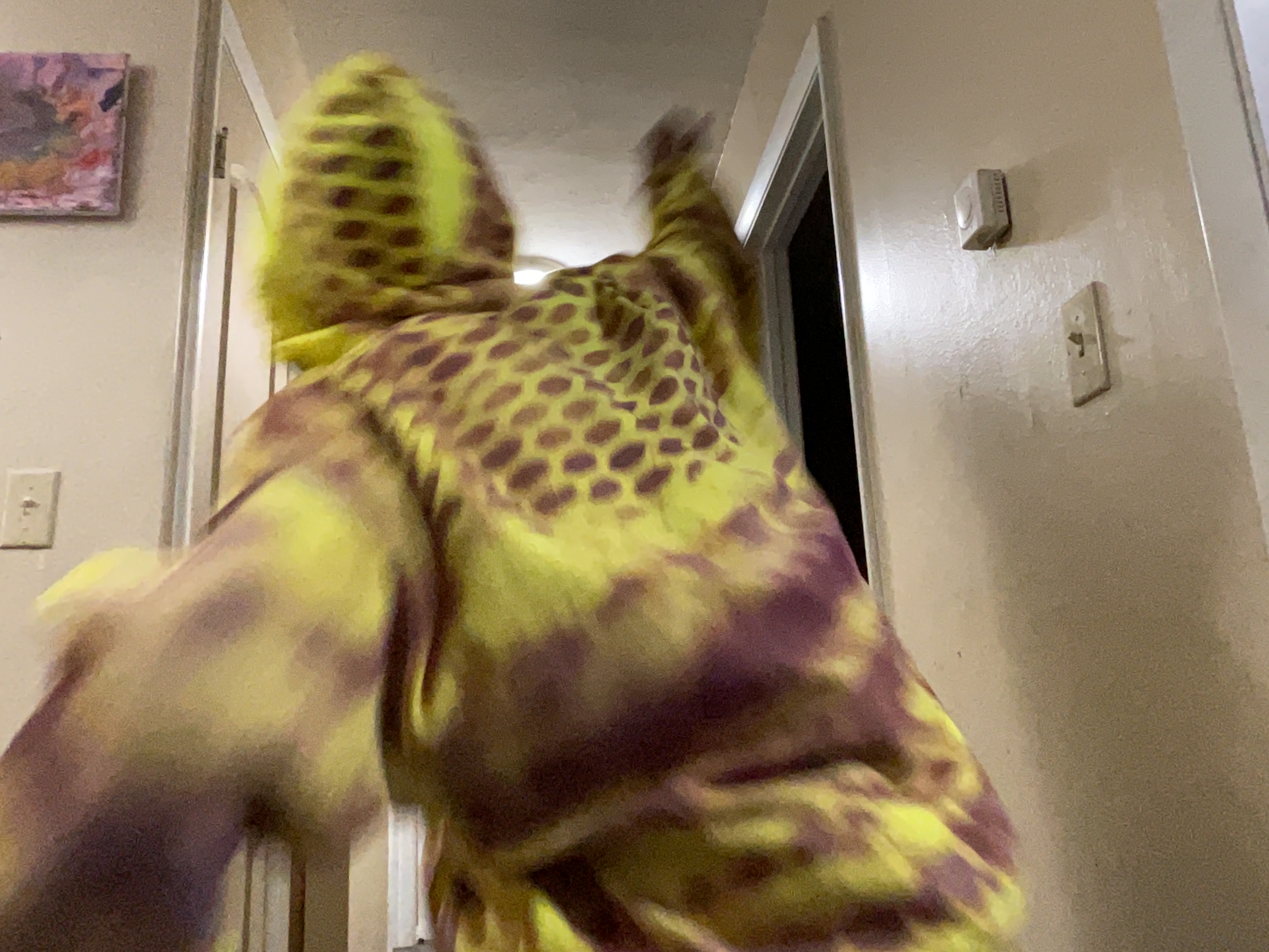 Yellow honeycomb motion shot